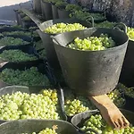 El Cipres De Prado בית נופש Castrelo de Mino