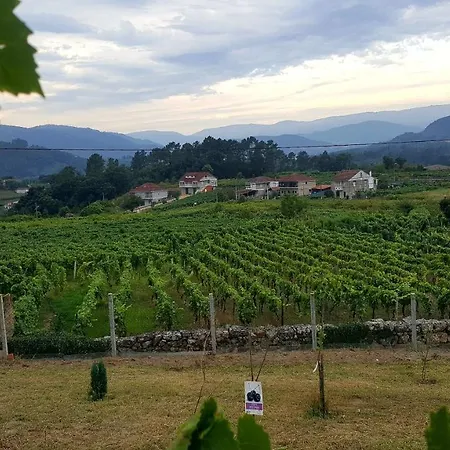 El Cipres De Prado *