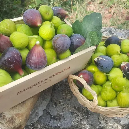 Feriehus El Cipres De Prado Castrelo de Mino