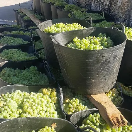 El Cipres De Prado Feriehus Castrelo de Mino