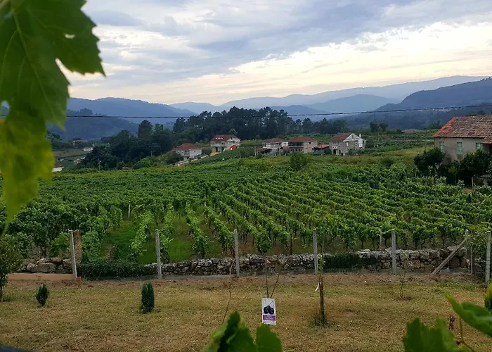 El Cipres De Prado *