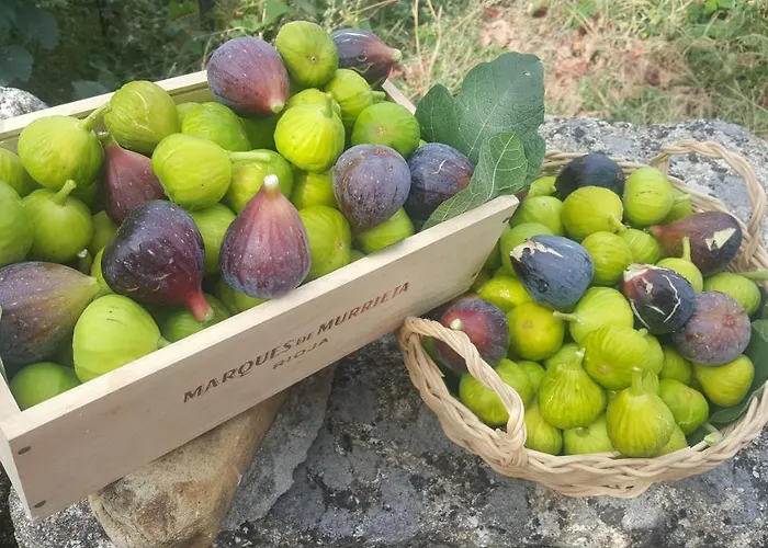 בית נופש El Cipres De Prado Castrelo de Mino