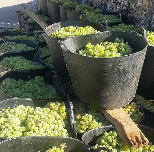 El Cipres De Prado בית נופש Castrelo de Mino